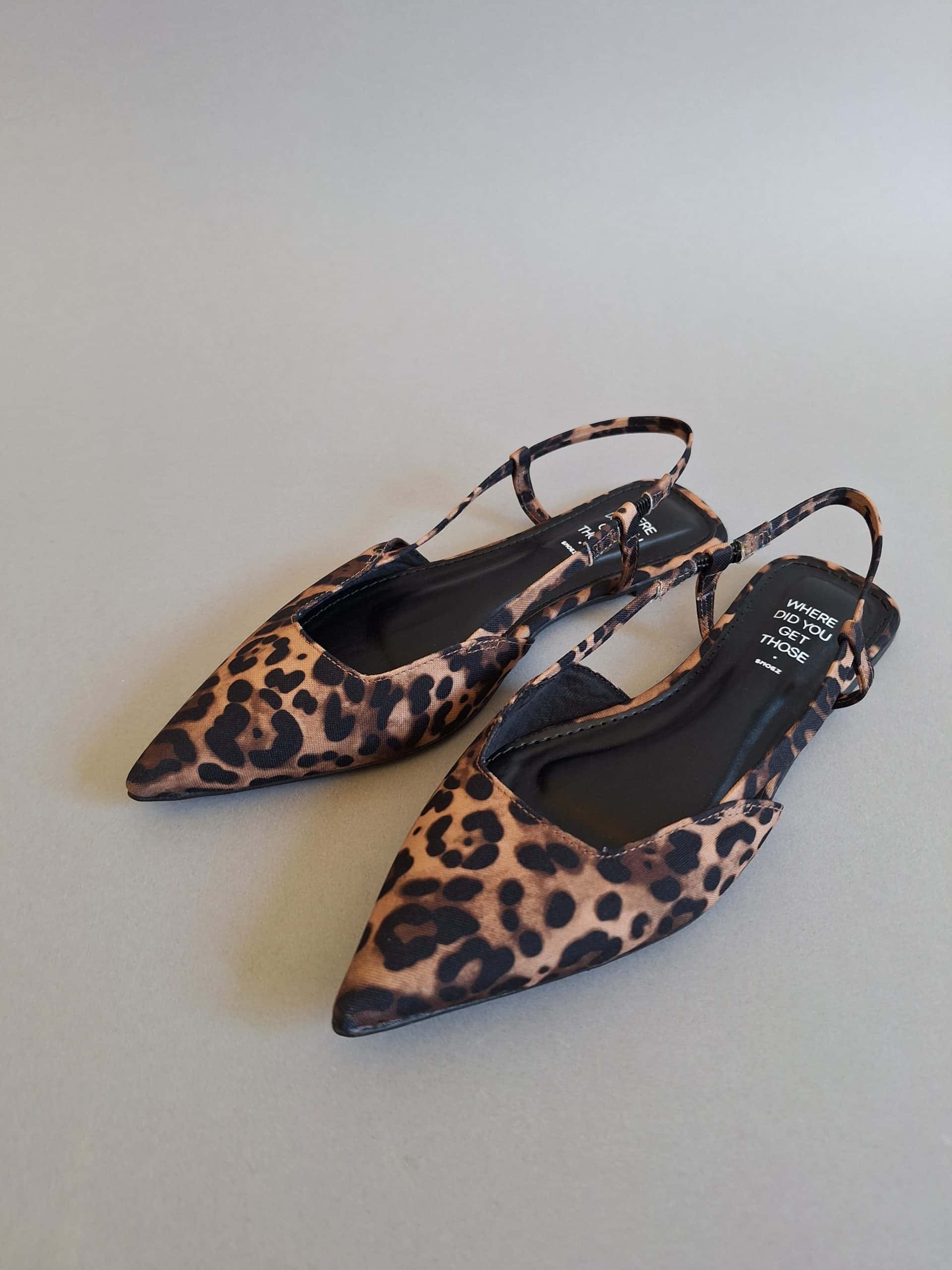 S.A.E - Lucho Leopard