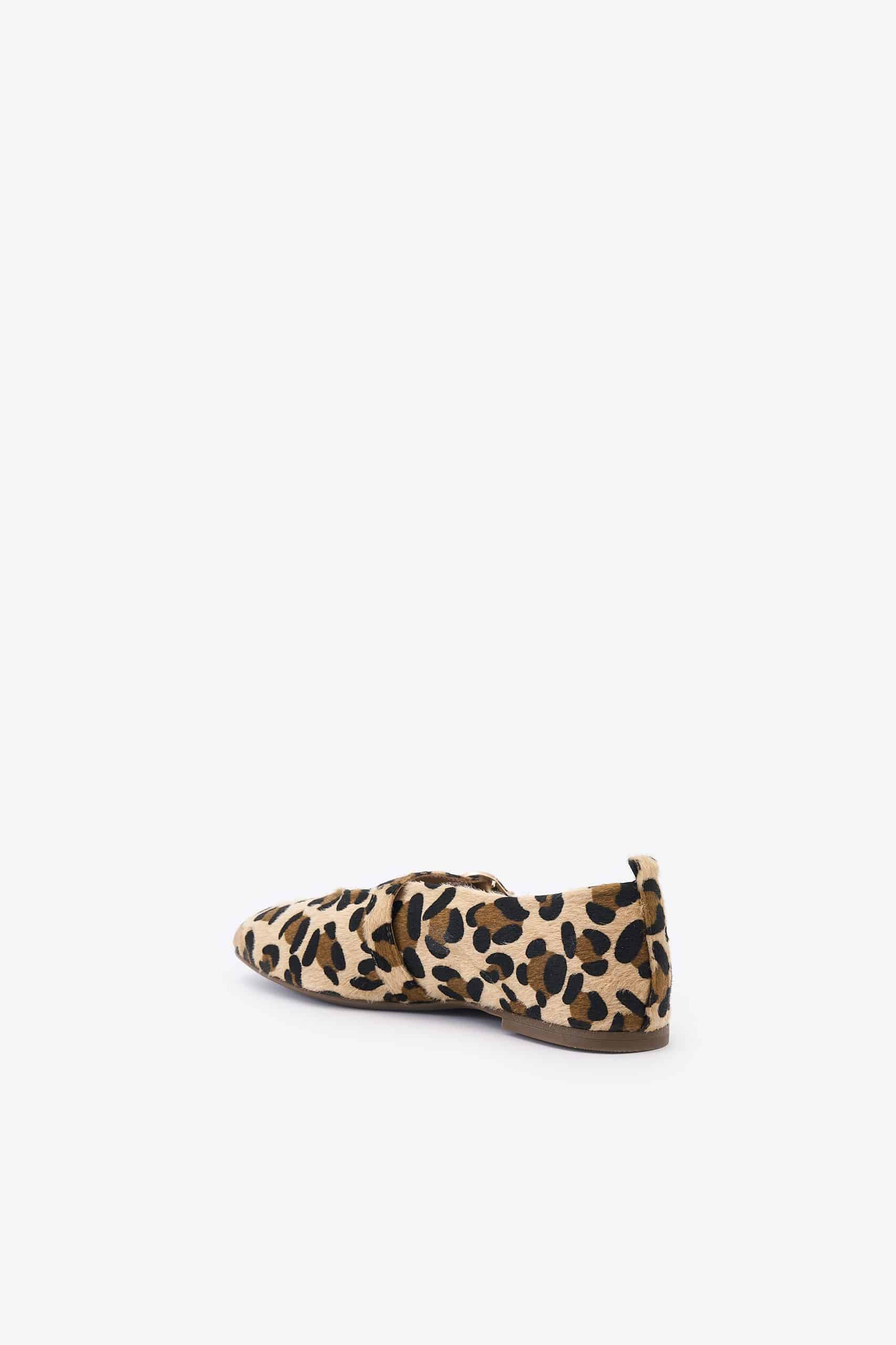 Papita Leopard