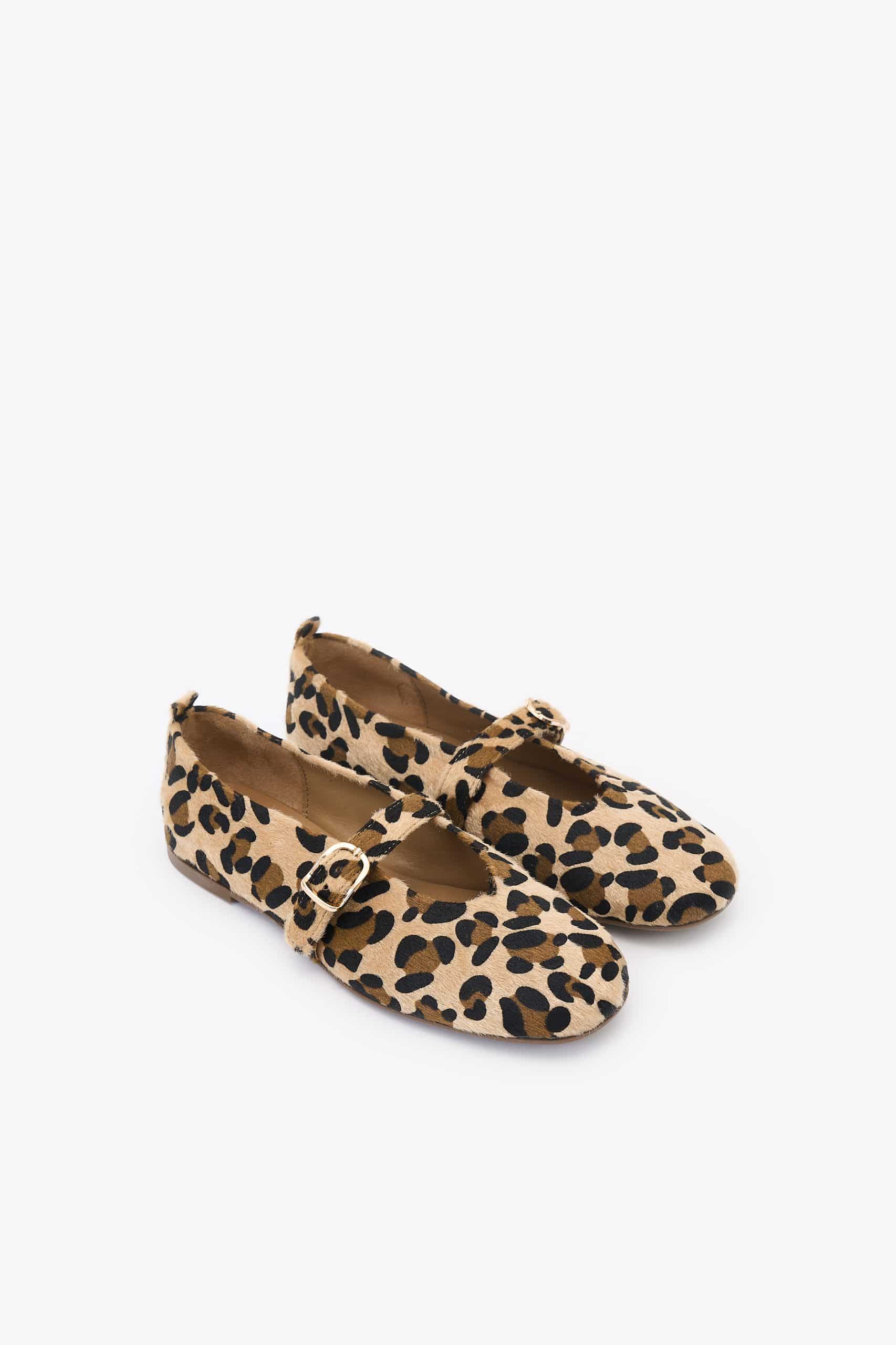 Papita Leopard