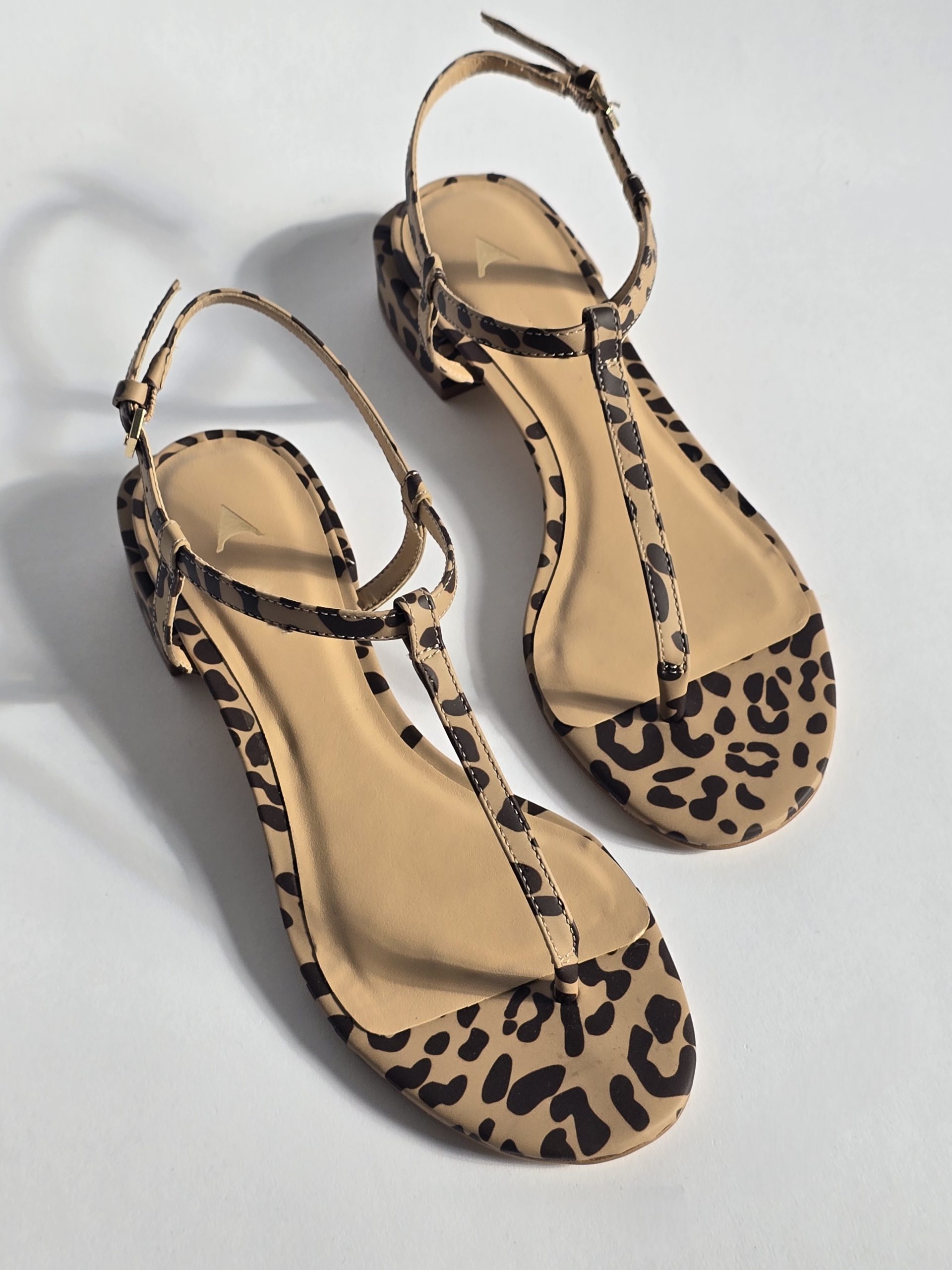 Edwina Leopard