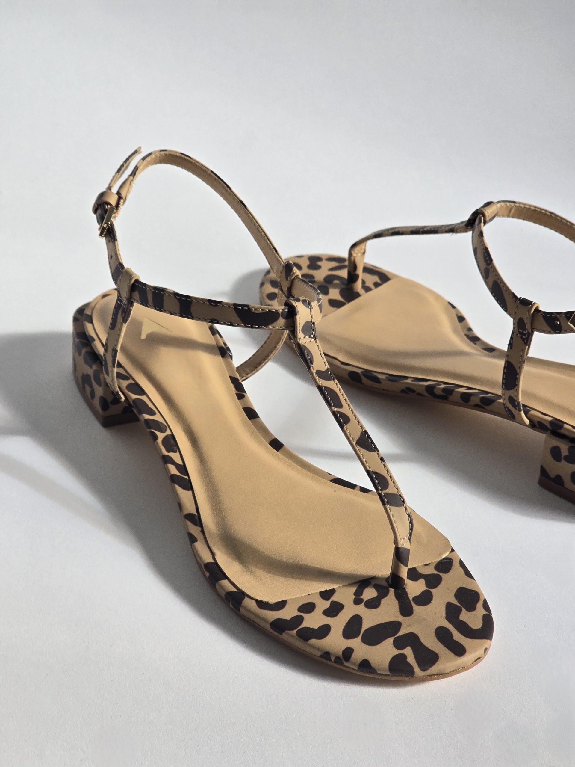 Edwina Leopard