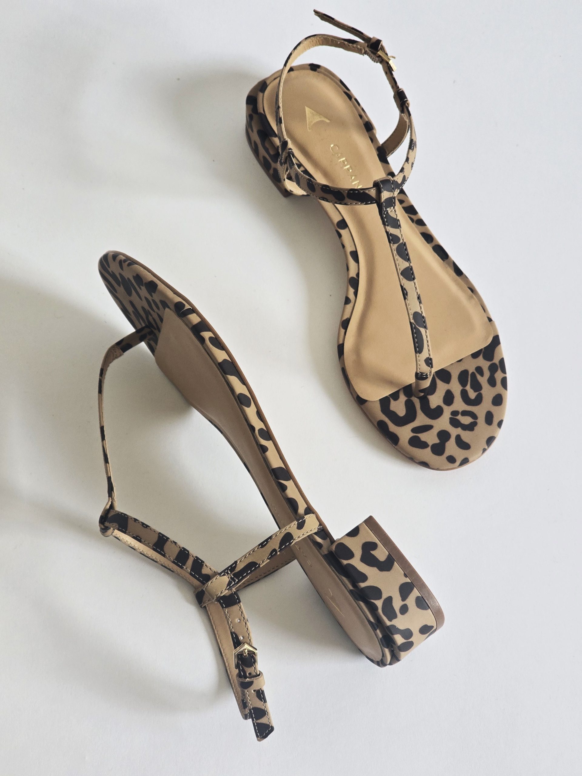 Edwina Leopard